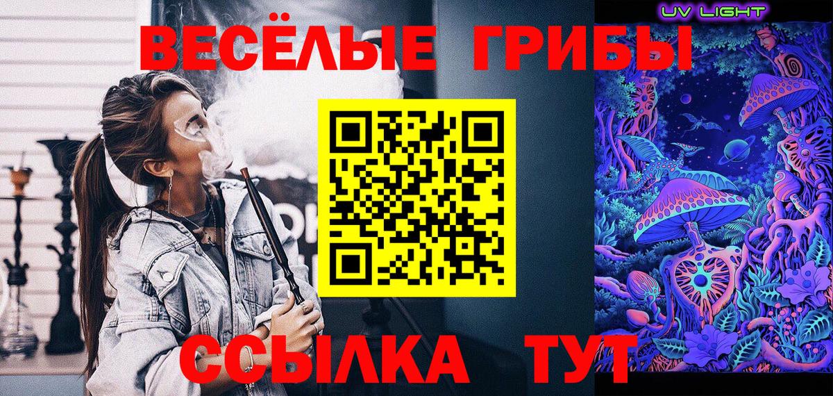 Псилоцибиновые грибы Cubensis Карталы